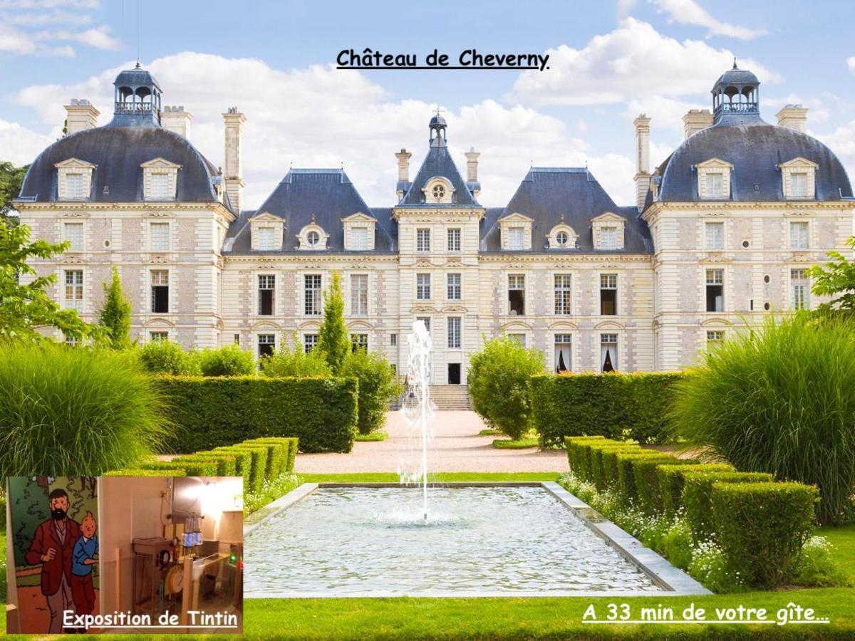 La Porte Aux Dames Romorantin-Lanthenay Exterior foto